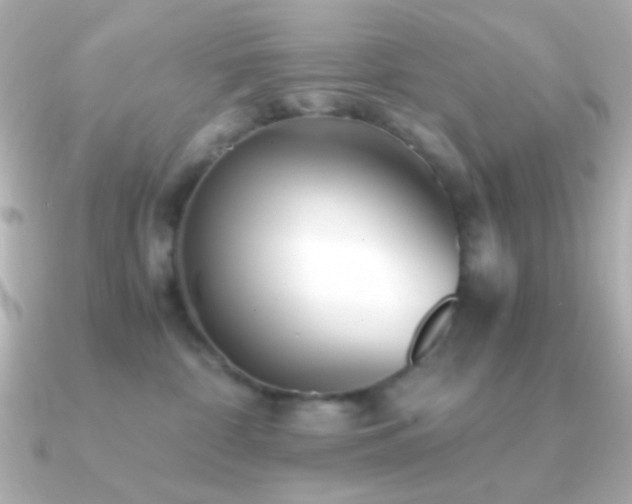 X0000091340332200708101448