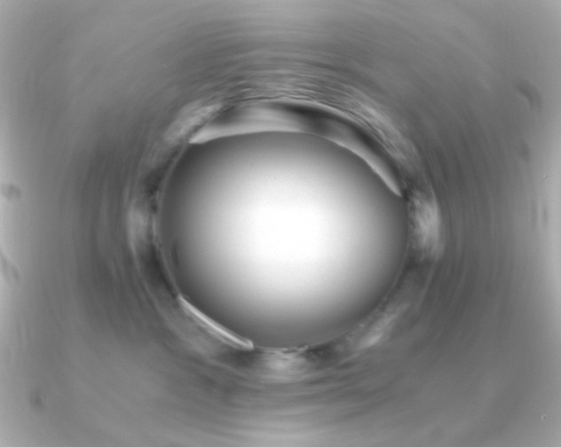 X0000091340333200708101448