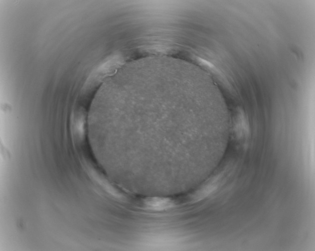 X0000091340334200708101448