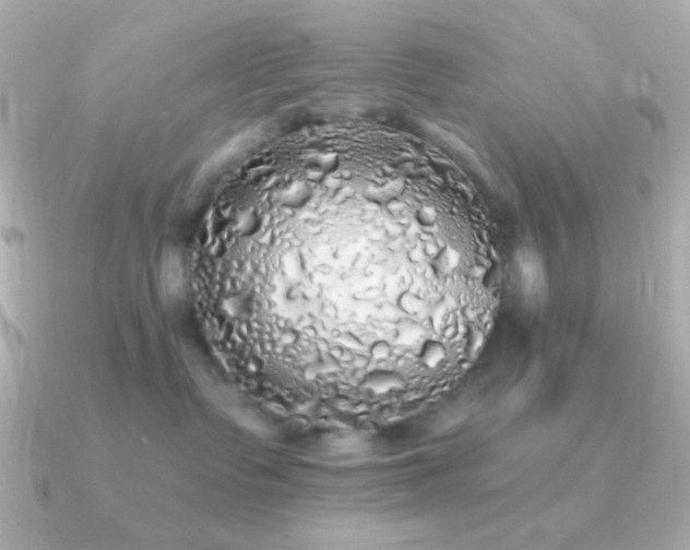 X0000091340335200708101448