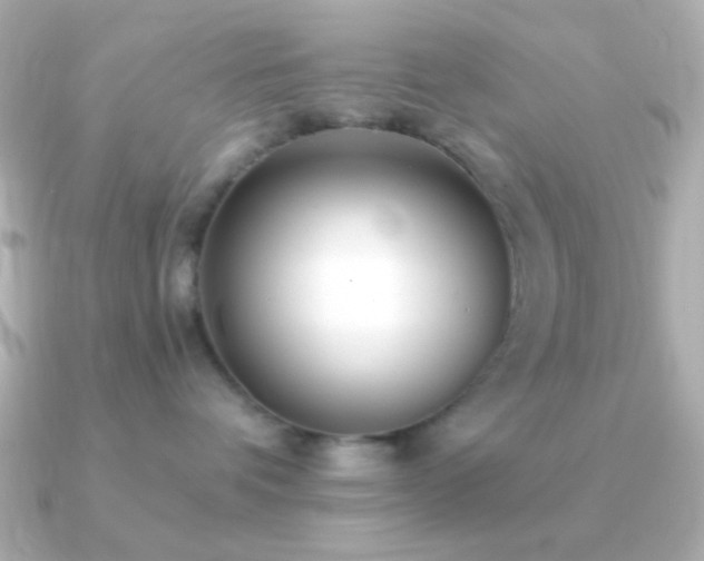 X0000091340336200708101448