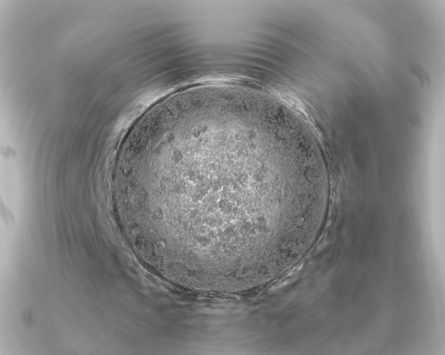 X0000091340337200708101447