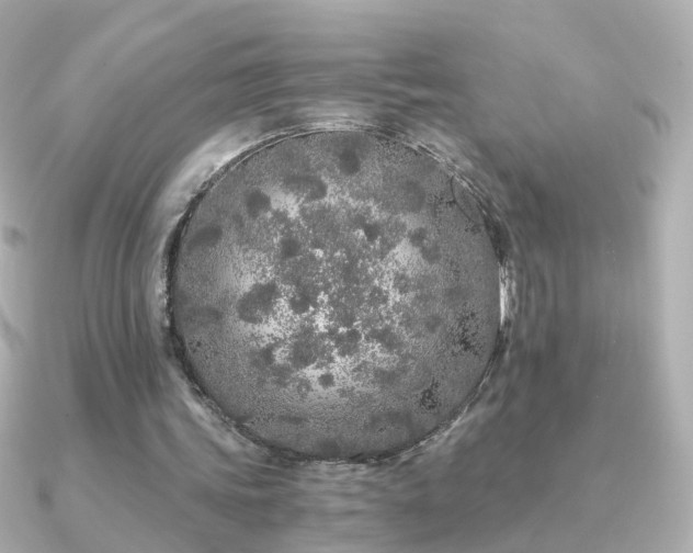 X0000091340339200708101447