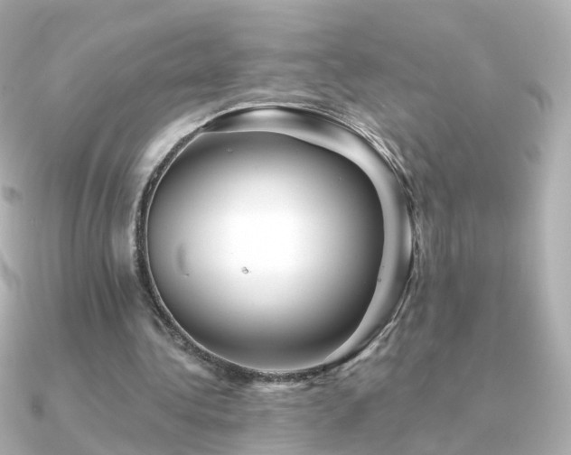 X0000091340340200708101447