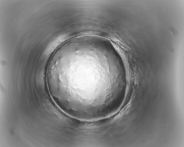 X0000091340341200708101447
