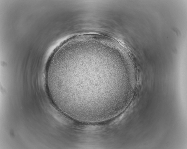 X0000091340342200708101447