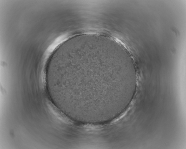 X0000091340343200708101447