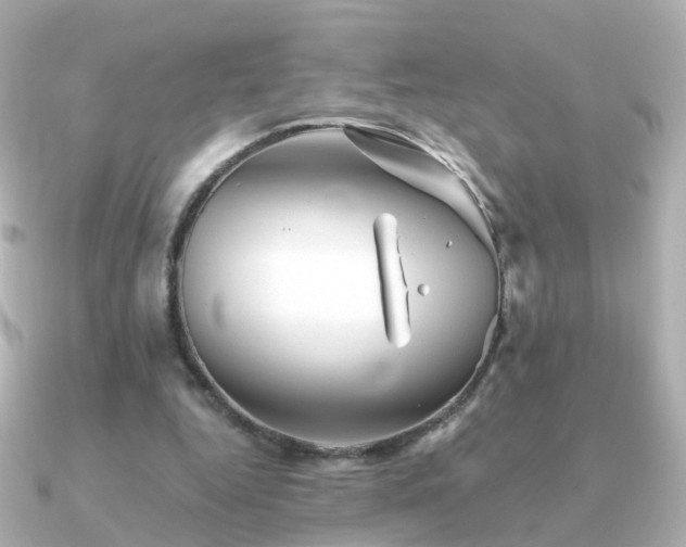 X0000091340344200708101447