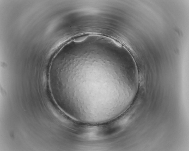 X0000091340349200708101447