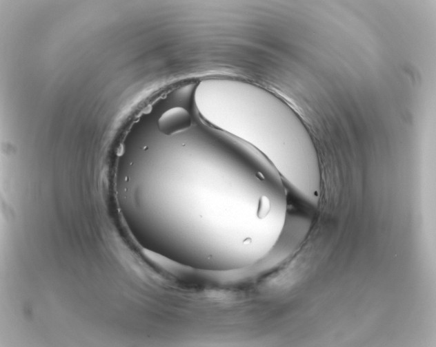 X0000091340350200708101447