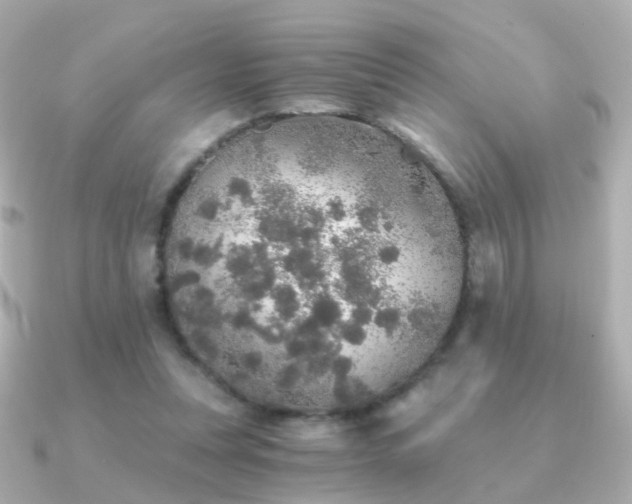 X0000091340351200708101447