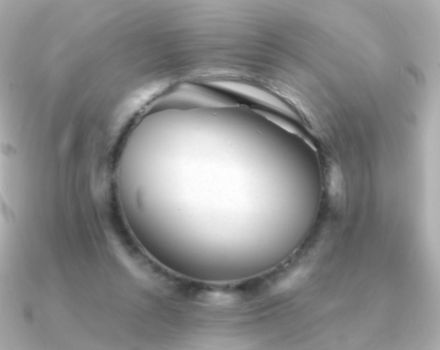X0000091340352200708101447
