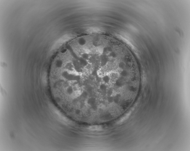 X0000091340353200708101447