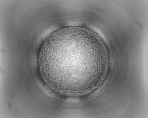 X0000091340354200708101447