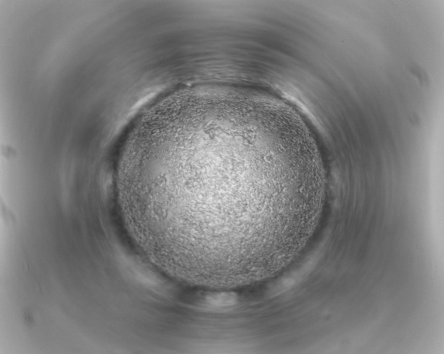 X0000091340355200708101447