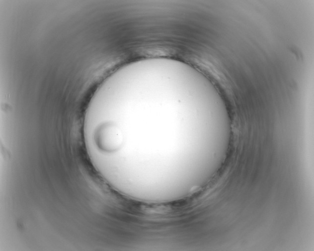 X0000091340359200708101448