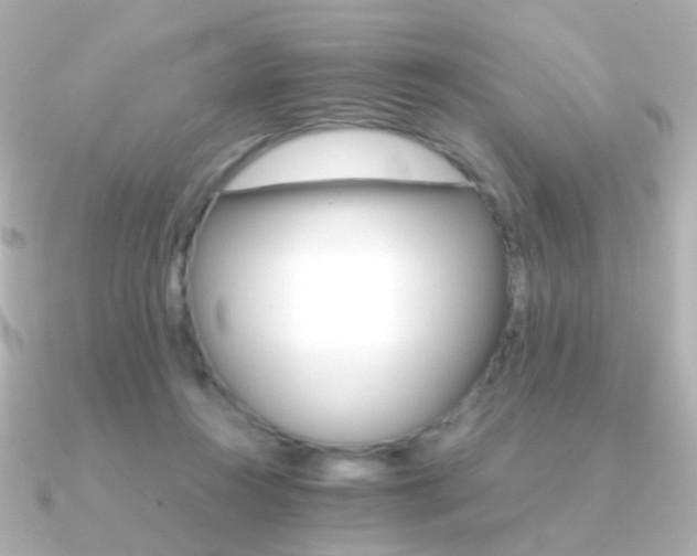 X0000091340360200708101448
