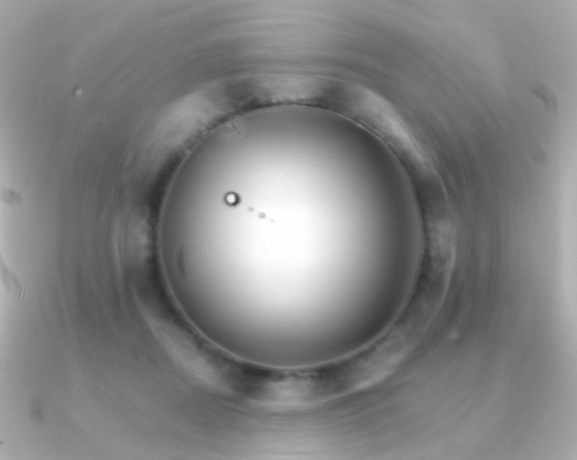X0000091340362200708101448