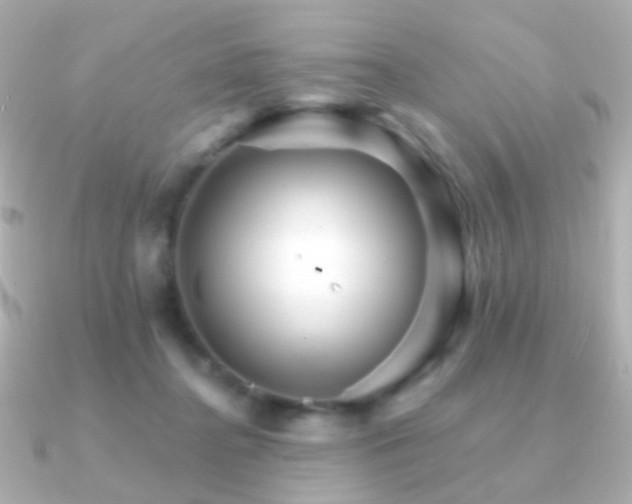 X0000091340364200708101448