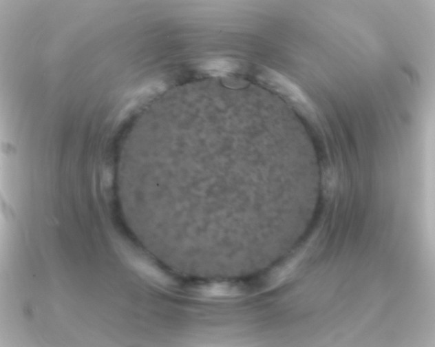 X0000091340365200708101448