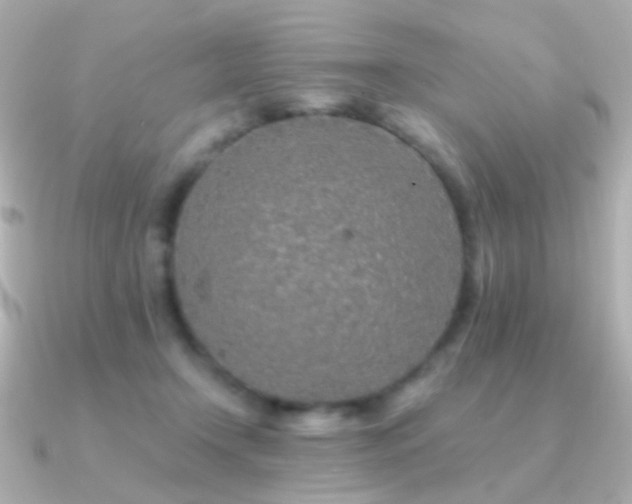 X0000091340366200708101448