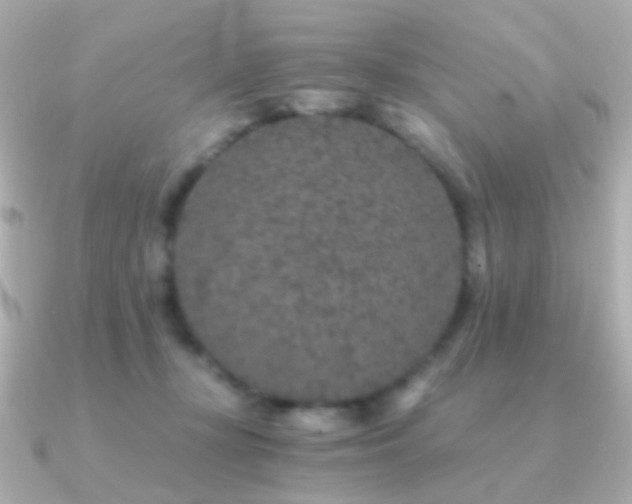 X0000091340367200708101448