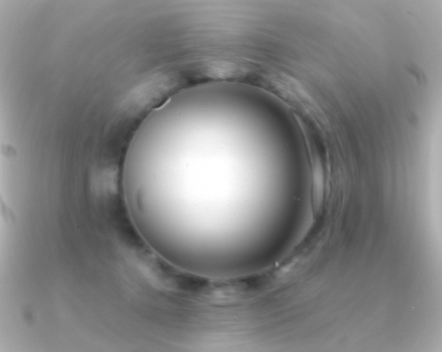 X0000091340368200708101448