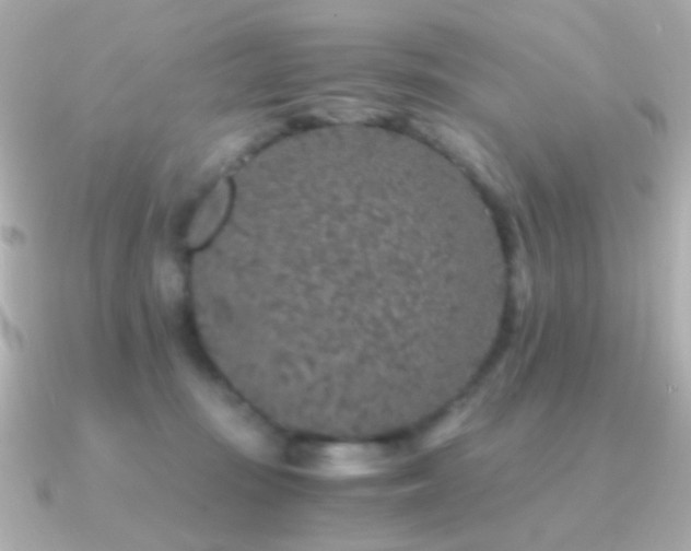 X0000091340371200708101448