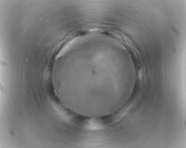 X0000091340372200708101448