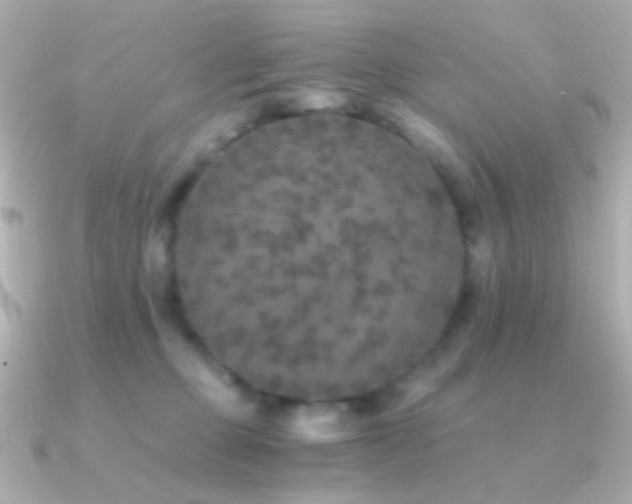 X0000091340373200708101448