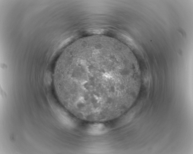 X0000091340374200708101448