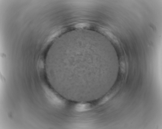 X0000091340375200708101448
