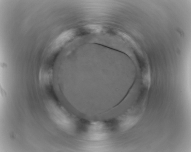 X0000091340376200708101448