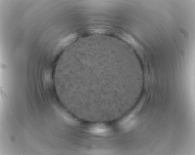 X0000091340377200708101448