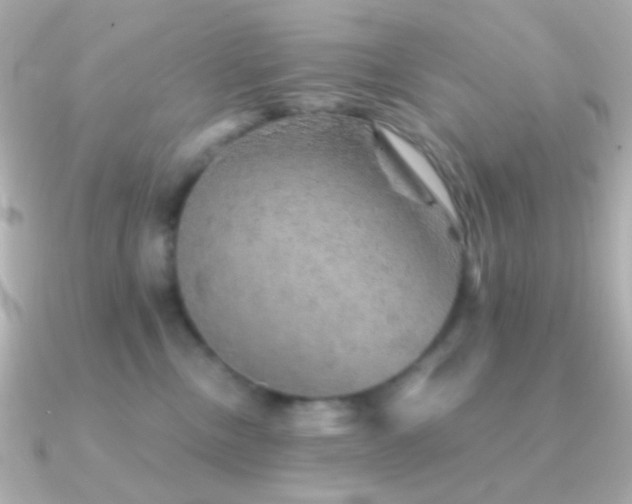 X0000091340378200708101448