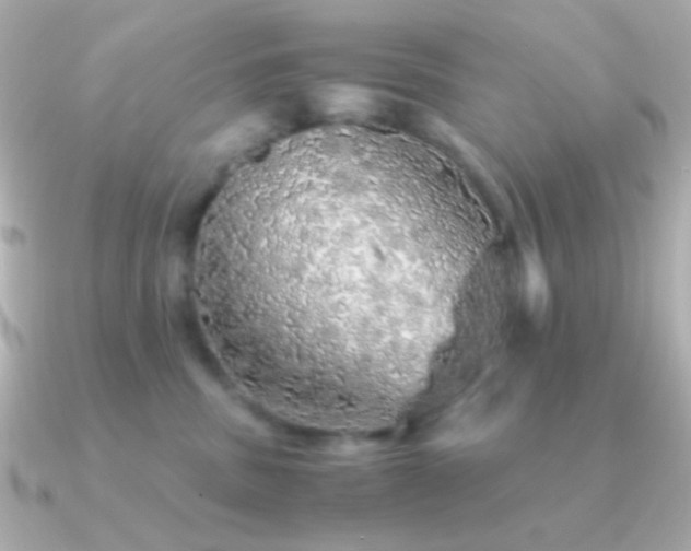 X0000091340379200708101448