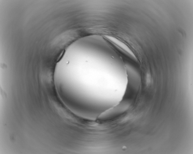 X0000091340380200708101448