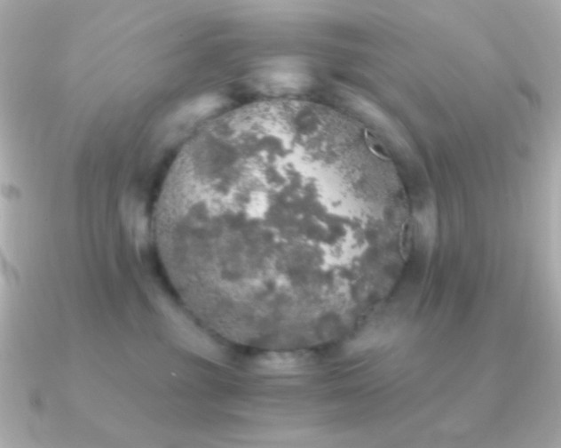 X0000091340381200708101448
