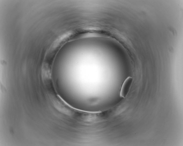 X0000091340384200708101448
