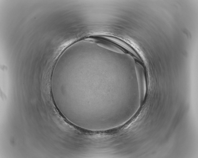 X0000091340385200708101447