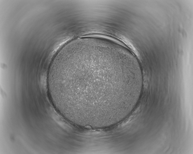 X0000091340386200708101447
