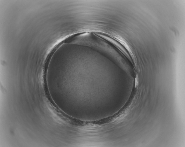 X0000091340387200708101447