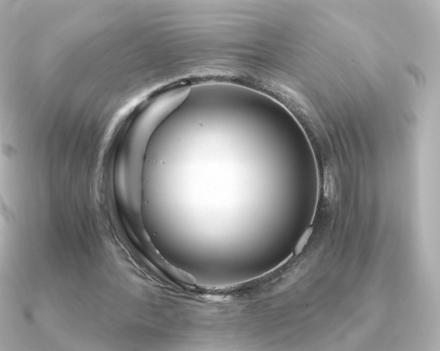 X0000091340388200708101447