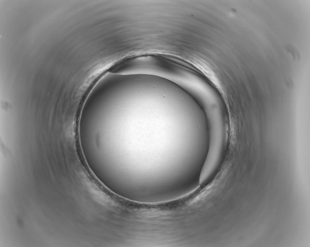 X0000091340389200708101447