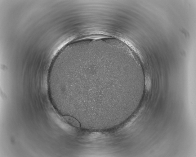 X0000091340390200708101447