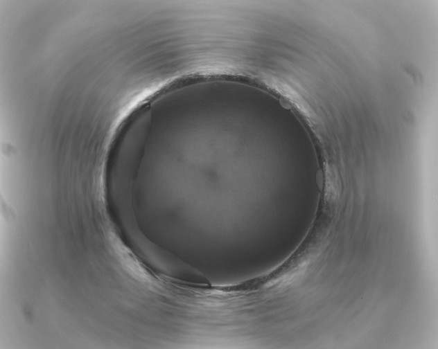 X0000091340391200708101447