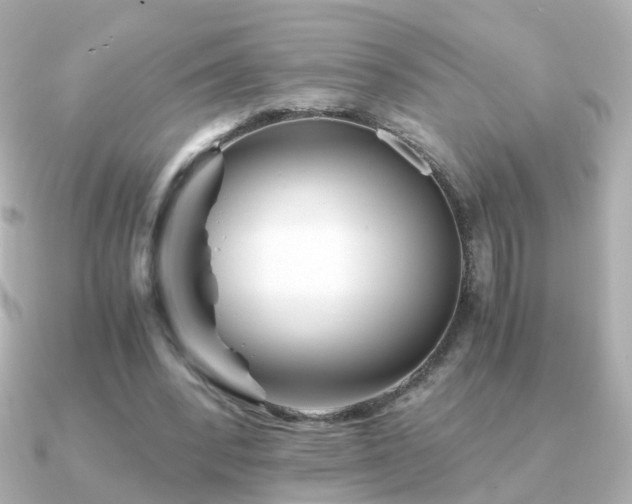 X0000091340392200708101447