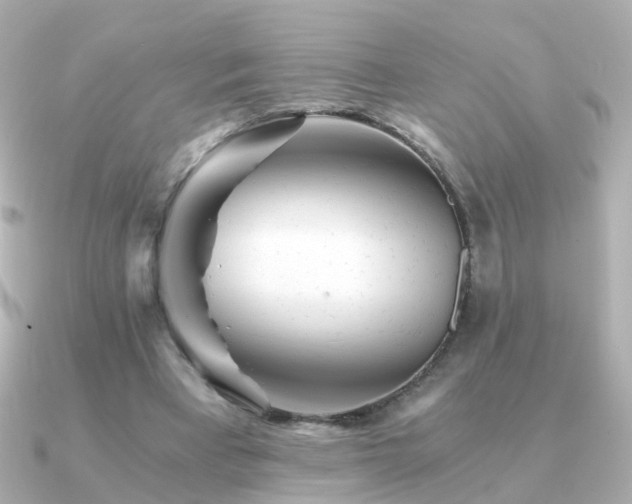 X0000091340393200708101447