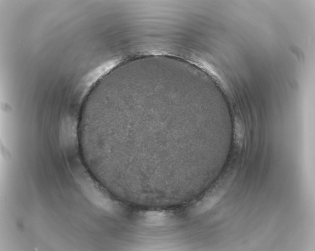 X0000091340394200708101447