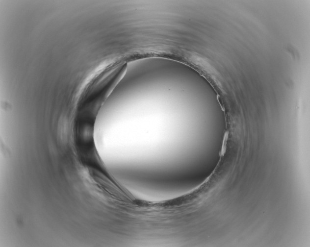 X0000091340395200708101447